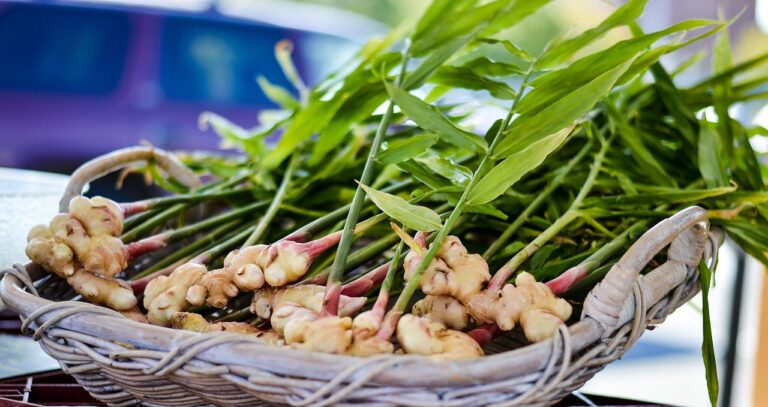 Superfoods Desconocidos: Descubre los Alimentos con Poderes Nutricionales Ocultos