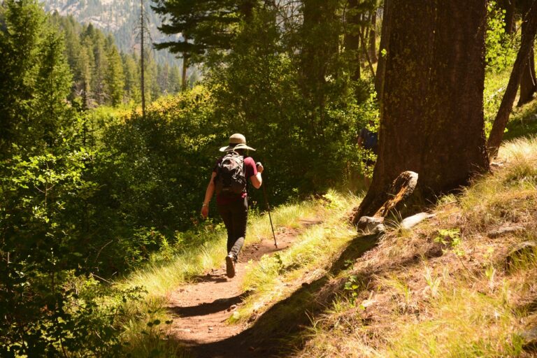 Cómo 30 Minutos de Caminata Diaria Cambiaron mi Vida en un Mes