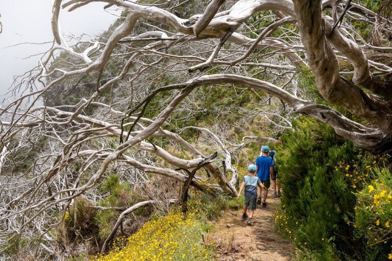 ¿Por Qué es Vital que los Niños Pasen Tiempo en la Naturaleza? 10 Actividades al Aire Libre para Aprovechar al Máximo