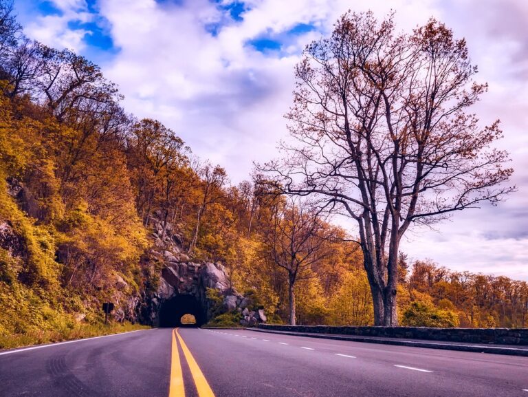 Los 5 Viajes Otoñales Más Épicos en Estados Unidos para un Otoño Inolvidable