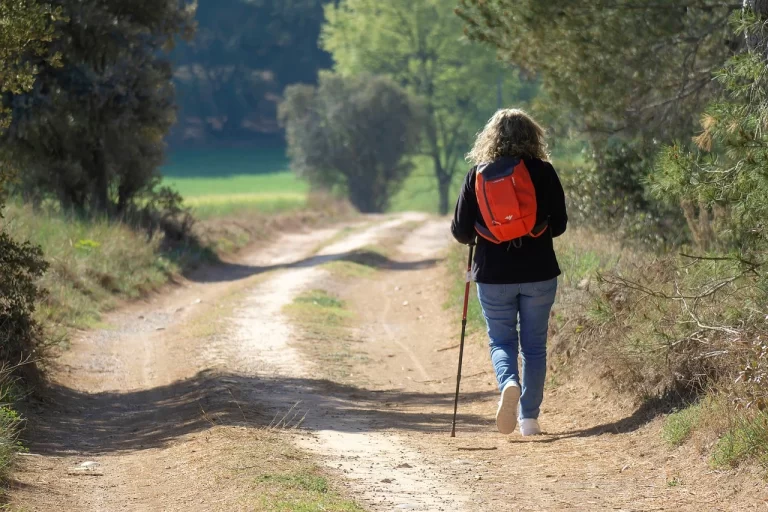 20 Maneras de Practicar la Terapia de Baño de Bosque para una Paz Mental y Espiritual