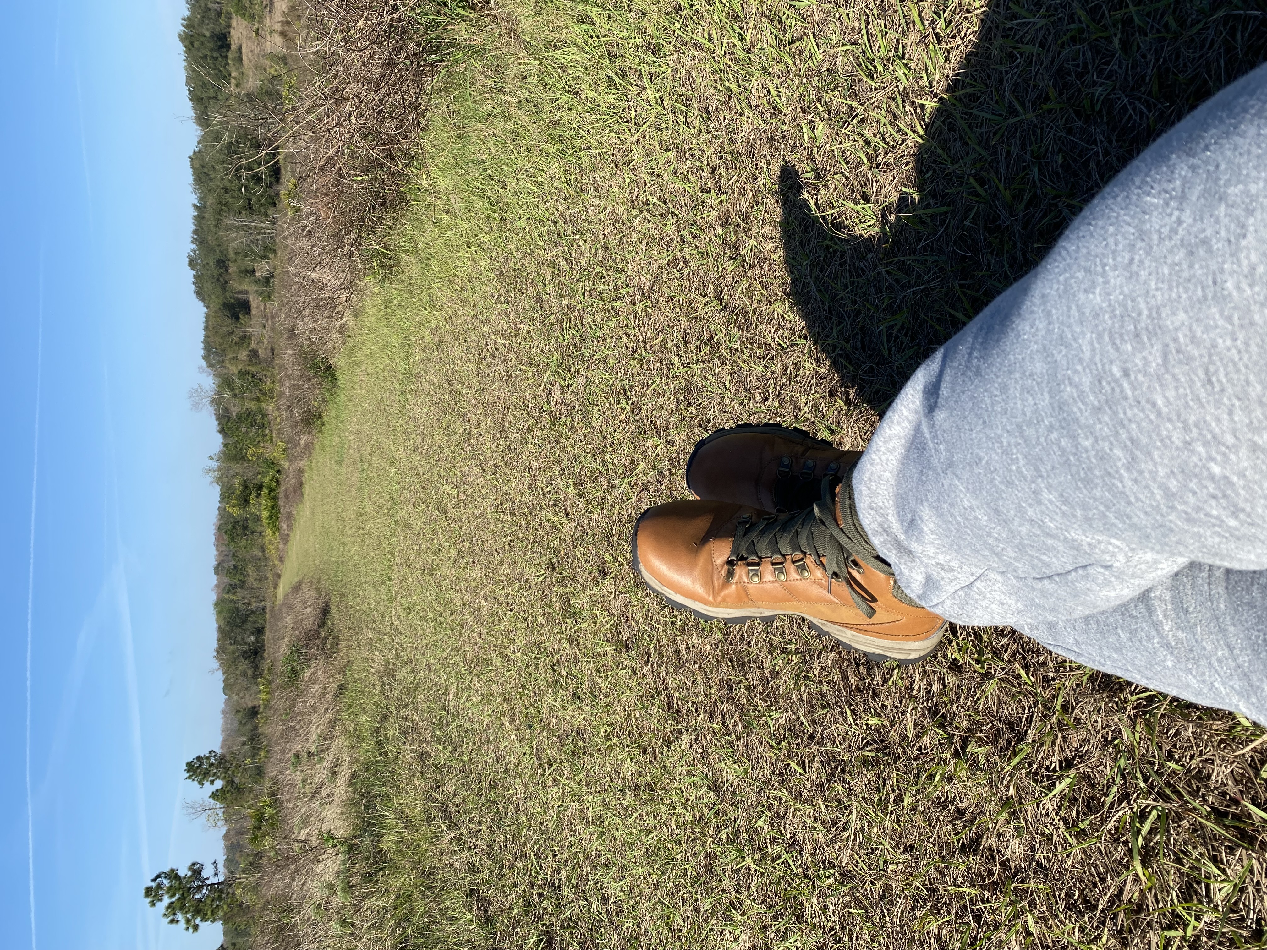 Fotografía de LizBiofilia en sendero en Florida Central.