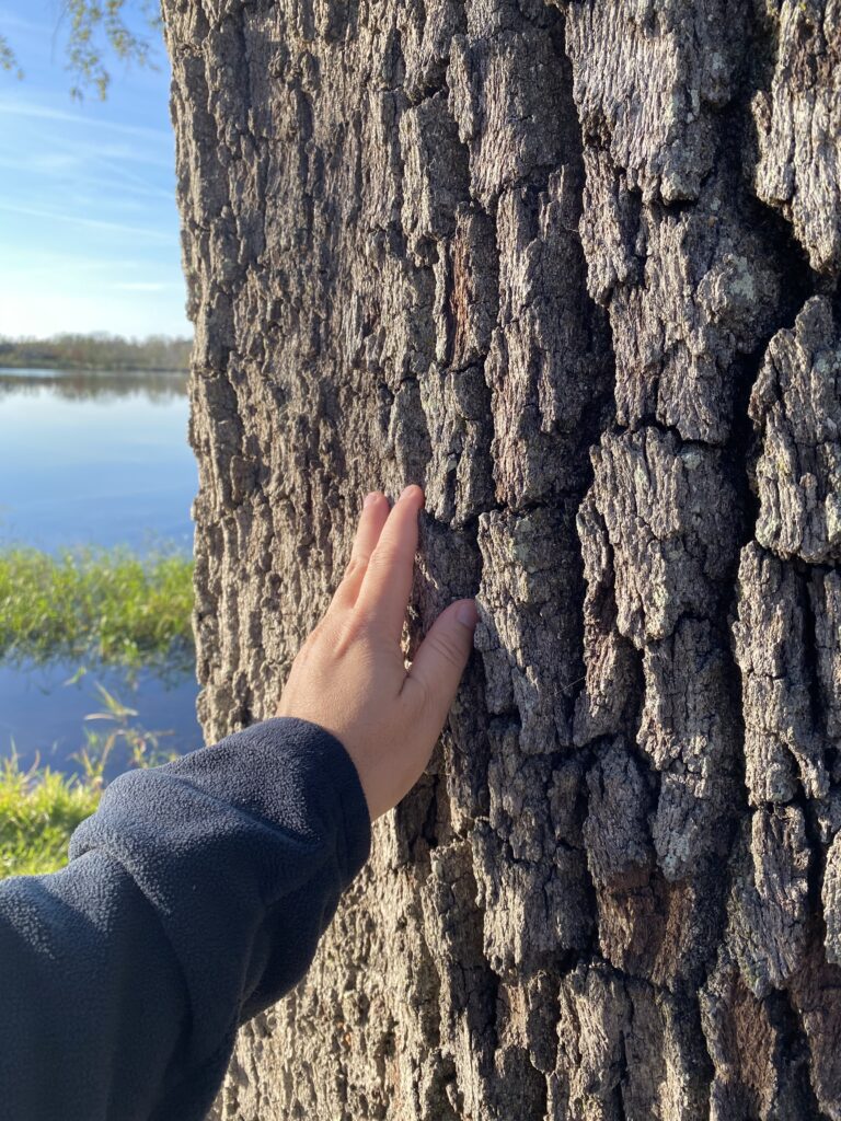 Fotografía de conexión con la naturaleza de LizBiofilia.