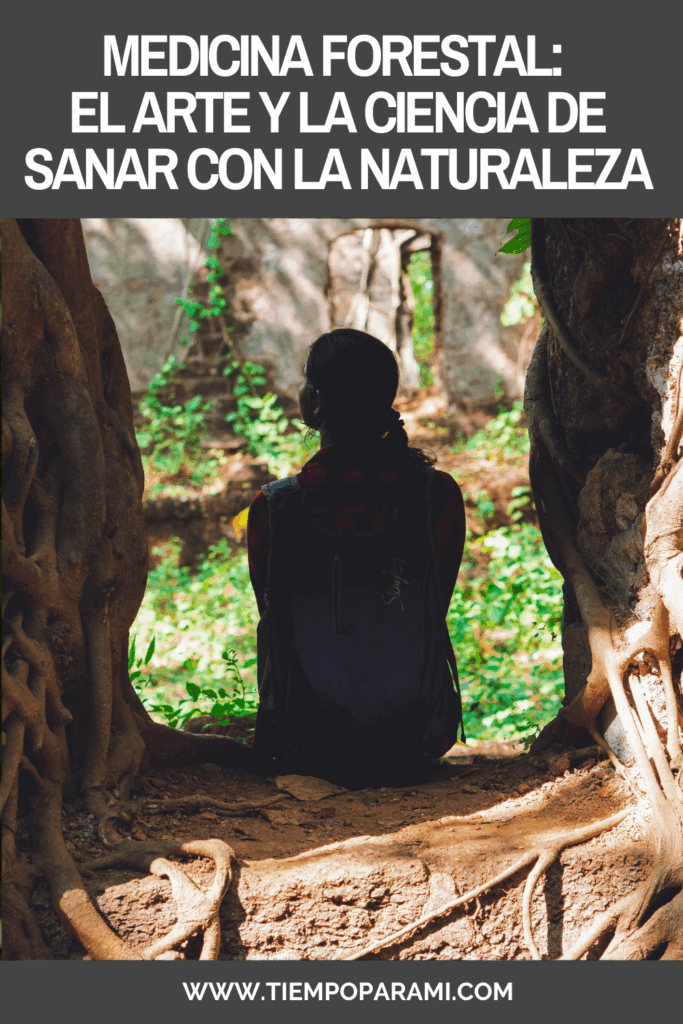 Medicina forestal el arte y la ciencia de sanar con la naturaleza blog tiempo para mi